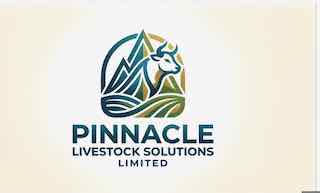 Pinnacle Logo